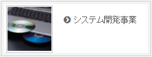 システム開発事業